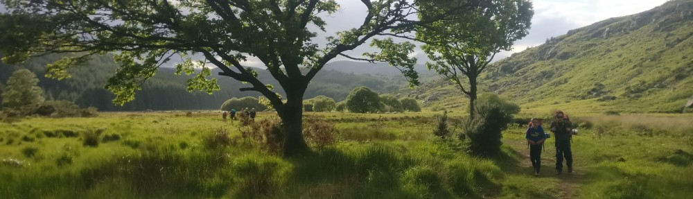 Lough Dan Scout Centre